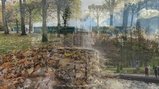 Петергоф. Нижний парк. Октябрь 2021года.