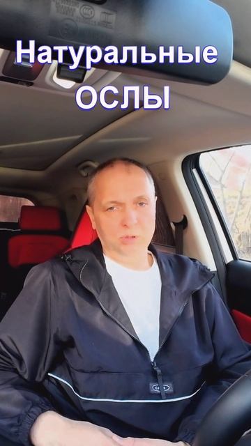 Натуральные Ослы