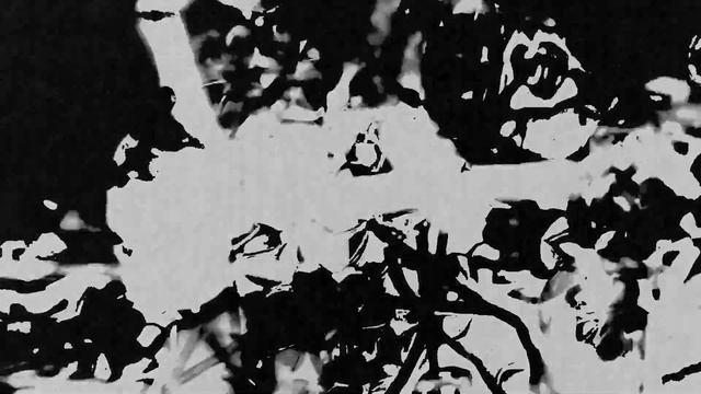 The Boogie Men - As Time Evaporates (OFFICIAL MUSIC VIDEO)