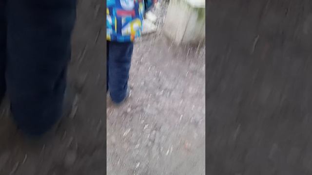 1000030120.mp4