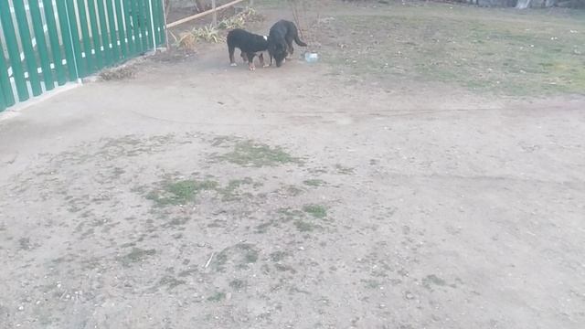 VID_20250312_175942