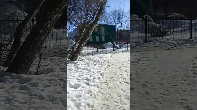 VID-20250316-WA0081