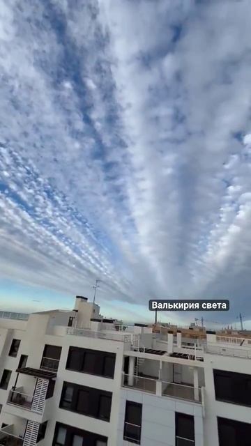 VID_20241226_203238_037.mp4