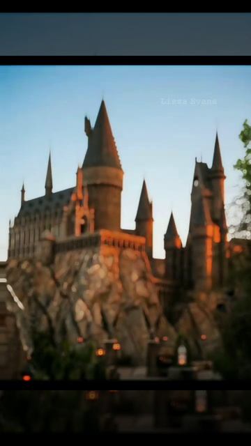 💗#harrypotter #рек #хогвартс #edit #врекомендации #гаррипоттер #goldentrio