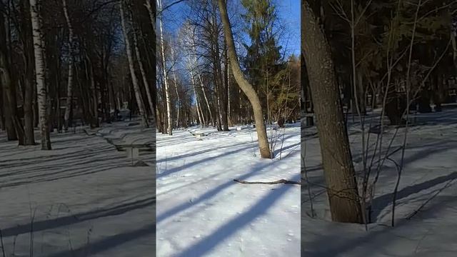 VID-20250316-WA0063