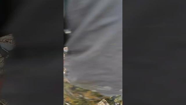 садовый измельчитель
