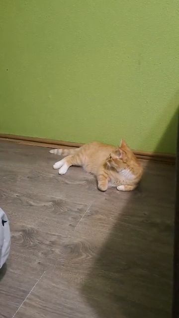 Хрясь по сопатке