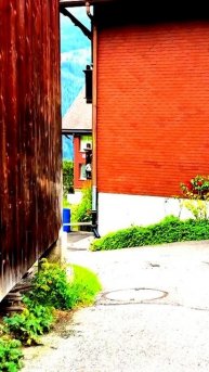 Камера зафиксировала неожиданный поворот