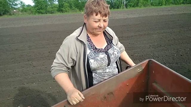 Тульская область. Чернский район. Посадка картофеля. Май 2020