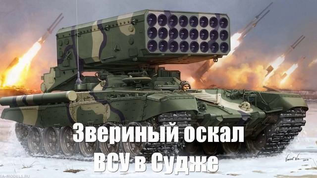 Украинский фронт. Звериный оскал ВСУ в Судже - Юрий Подоляка, Война на Украине