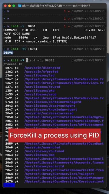 How to kill a process running on a port on mac? 1. Shorthand to kill a process running on a port