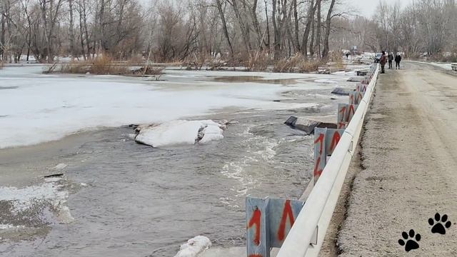 Вода подошла к мостам на реке Урал,а река Сакмара пока спокойная
