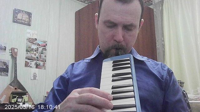 Мелодион: "По Дону гуляет"