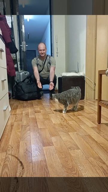 Дождалась ...😺