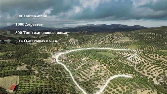 Наш фермер из Греции