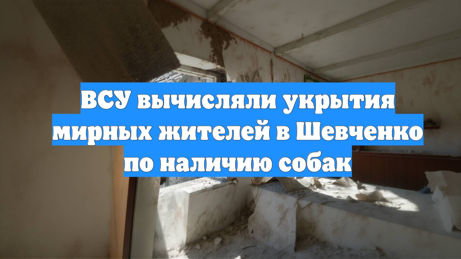 ВСУ вычисляли укрытия мирных жителей в Шевченко по наличию собак