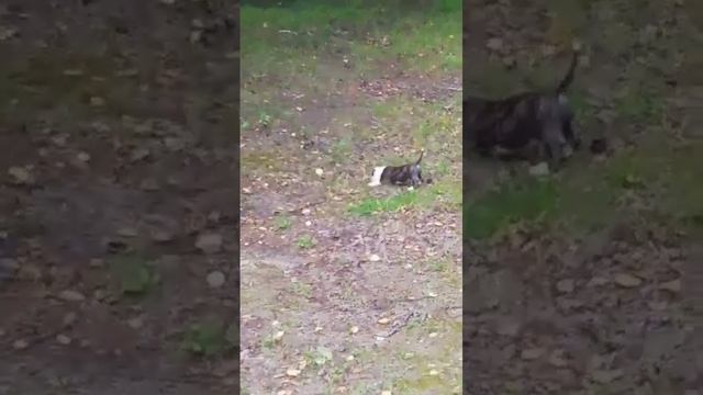 1000001114.mp4