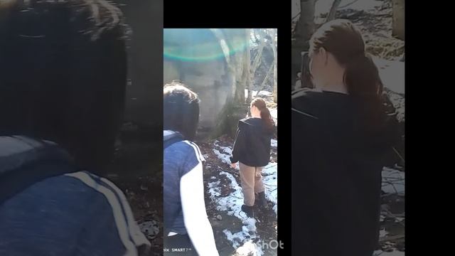 Семья Магнит в лесу