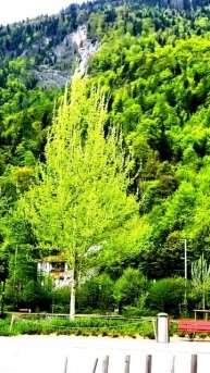 Камера засняла всё