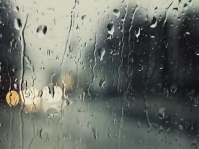 Сегодня дождь .....