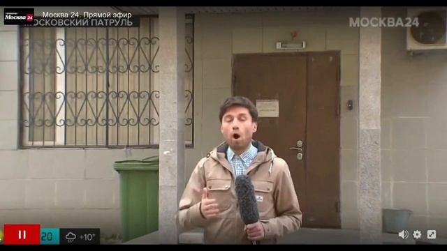 Шерлик_верните кота живым
