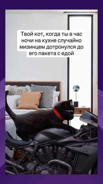 Юмор | Meme Clouds