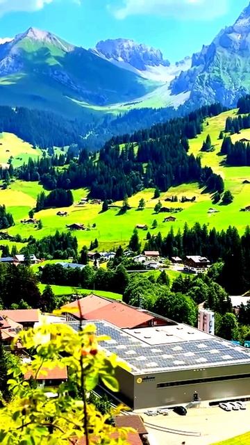 Неожиданные кадры жизни