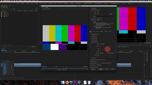 Add Timecode in Premiere Pro (Easy Way)