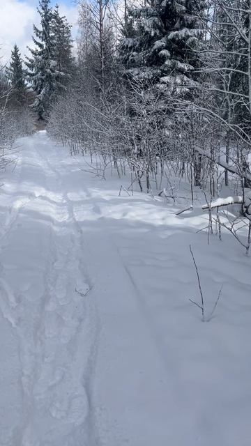 Закрытие сезона…
