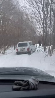 Едем по лесу