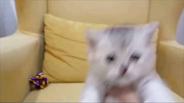 1000024611.mp4