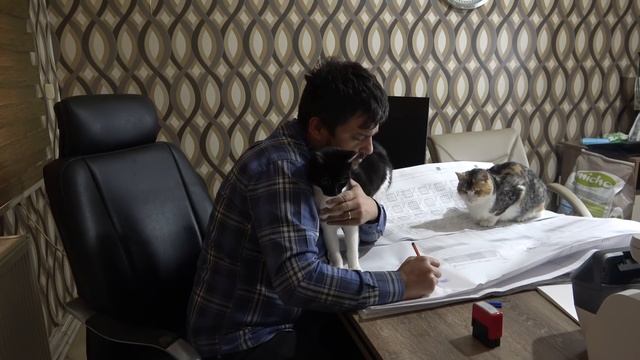 Trying to work in the office with 2 loving cats. Cats in love with their savior. Adorable Paws
