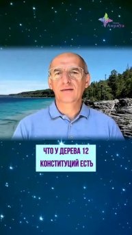 🌳 Разные виды деревьев. Торсунов О. Г.