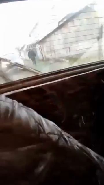 ПОГОНИМ