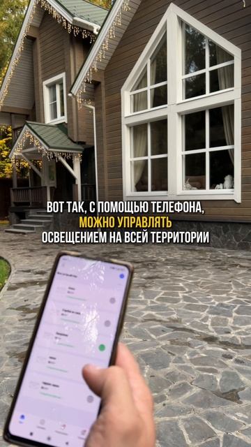 Управлять декоративным освещением с помощью приложения очень удобно 🤳