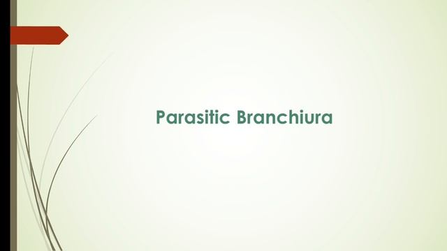 B.Sc Pt-ll Crustacean parasites