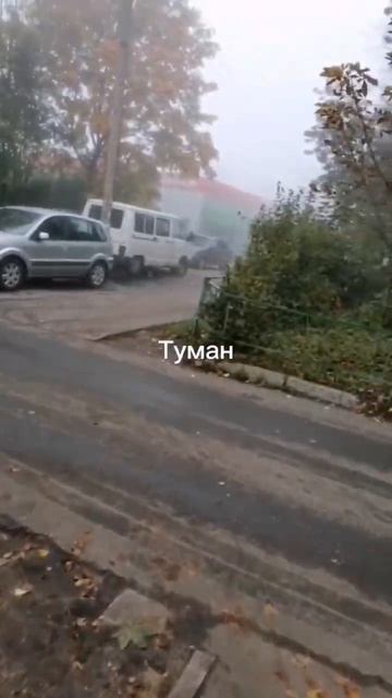 Гуляю. #гуляю #гулять