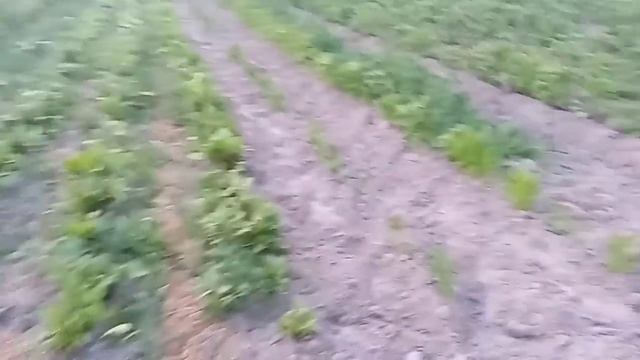 В деревне скучать некогда☘️🚜🦃🐣🌾Где купить вкусного сыра!?