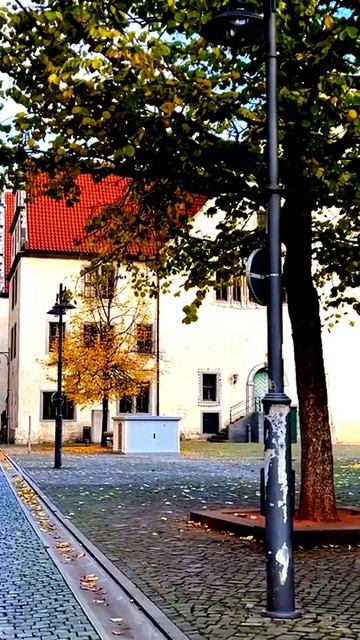 Камера зафиксировала