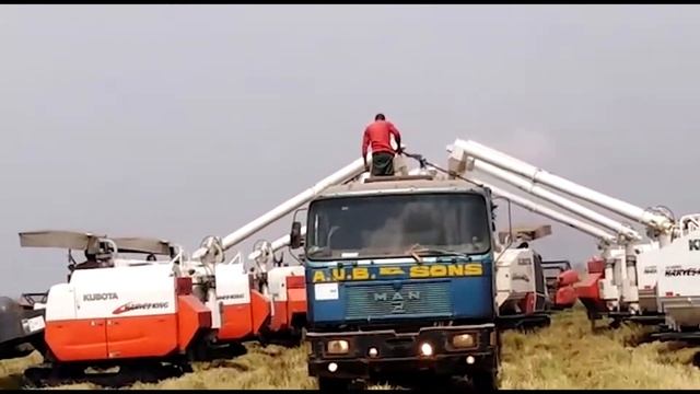 KUBOTA MINI COMBINE HARVESTER | DC-68G-HK | HARVESKING | 68HP