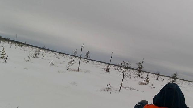 Завоз доски на болото