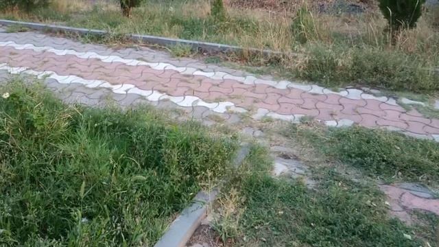 Համալիր 2