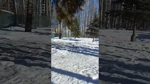 VID-20250316-WA0055