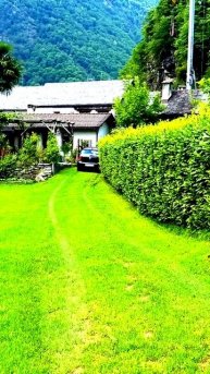 Поймано на ходу