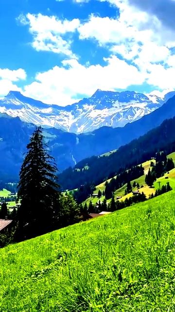 Мгновение в кадре