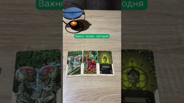 #таро