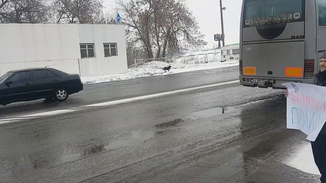 Флешмоб #КОРМУШКА_ПОЛИЦИИ