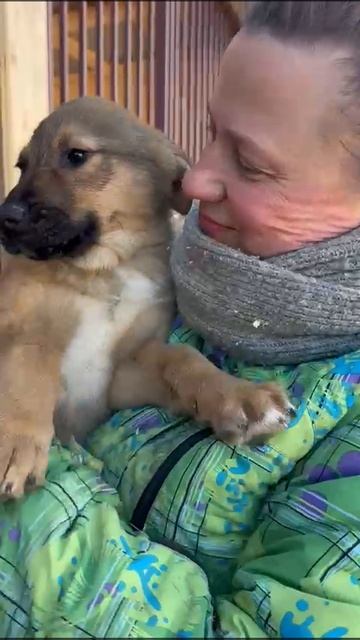 Милому мальчишке ищем дом