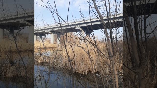 Video.Guru_20250316_083009577