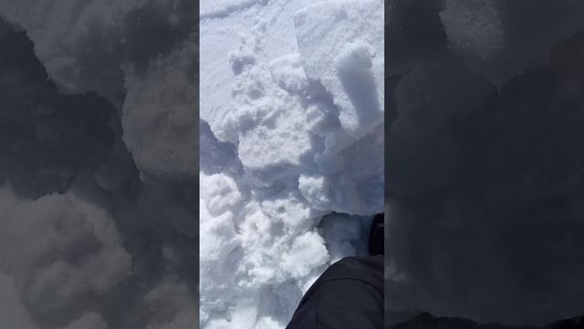 VID_20250316_140347.mp4